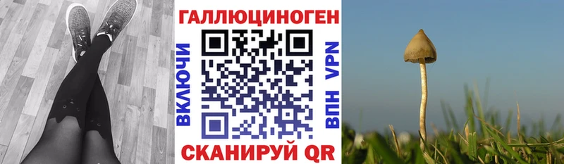 Галлюциногенные грибы MAGIC MUSHROOMS  Дедовск 