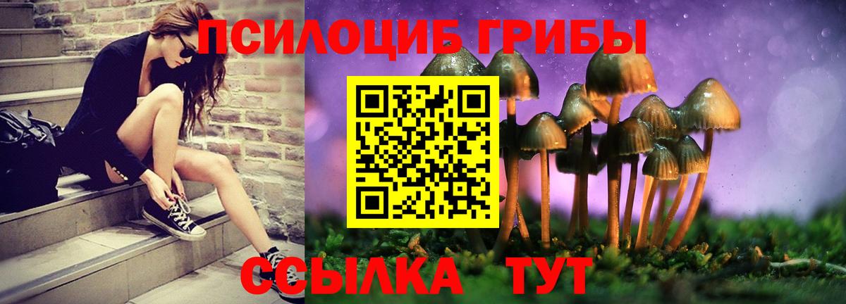 купить наркоту  Псилоцибиновые грибы мицелий  Вход с VPN  Дедовск 