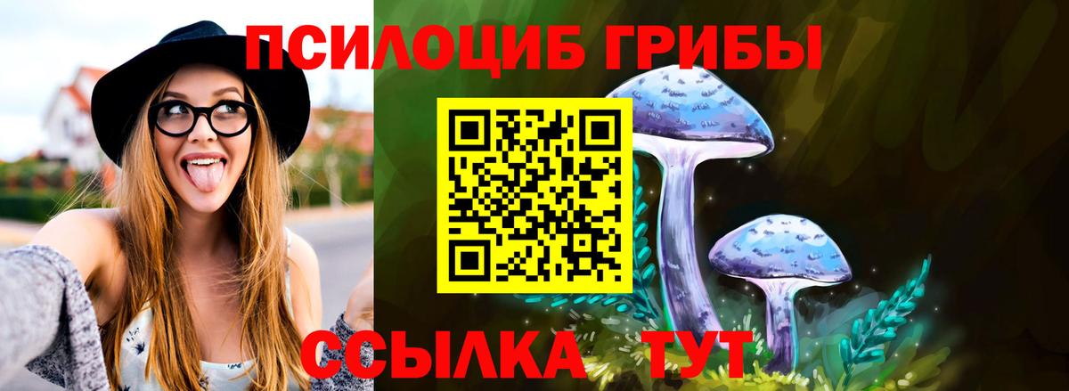 Псилоцибиновые грибы Psilocybe Дедовск